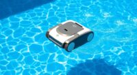 affordable effective pool cleaners