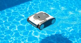 affordable effective pool cleaners