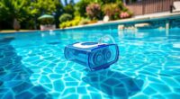 affordable pool cleaner options