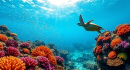 apo island marine conservation