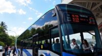 bus networks as flight substitutes