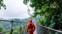 canopy walk safety ethics