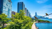chicago city birdwatching locations
