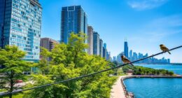 chicago city birdwatching locations