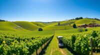 eco friendly barossa wine tours