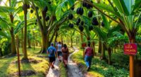 eco friendly cacao excursions