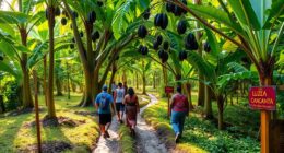eco friendly cacao excursions