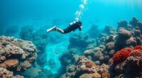 eco friendly diving malta