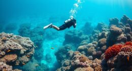 eco friendly diving malta