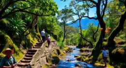eco friendly kokoda trek