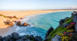 hidden rocha coast ecology