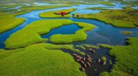 iber wetlands conservation success