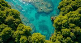 new zealand predator free islands