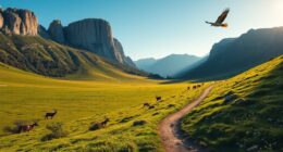 portugal s coa valley rewilding projects