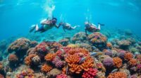 respect reef preserve nature