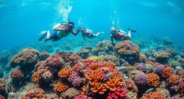 respect reef preserve nature