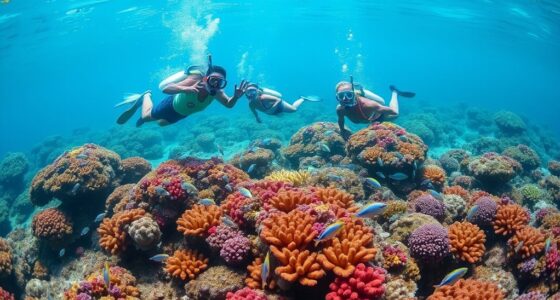 respect reef preserve nature