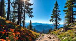 sierra nevada wildfire travel