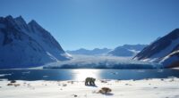 svalbard s innovative conservation model