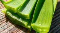 top organic aloe vera gels