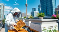 toronto city honey tours