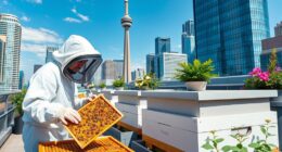 toronto city honey tours