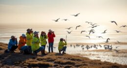 wadden sea bird citizen science