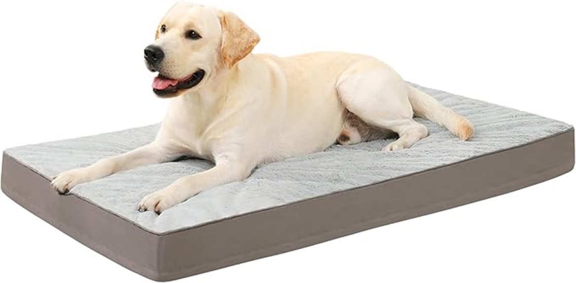 dog bed with foam