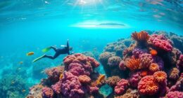 eco friendly fiji snorkeling