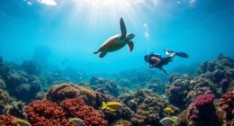 eco friendly ocean exploration