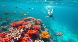 eco friendly roat n snorkeling