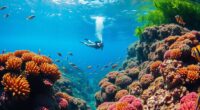 eco friendly snorkeling tours