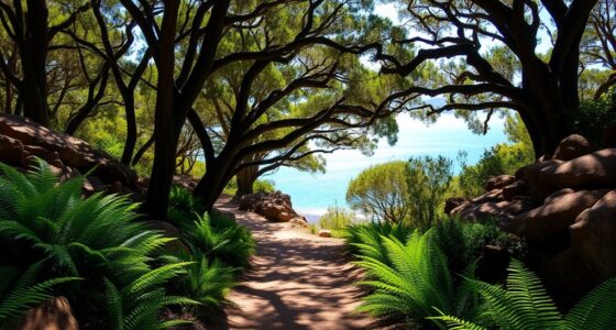 gentle hike in freycinet