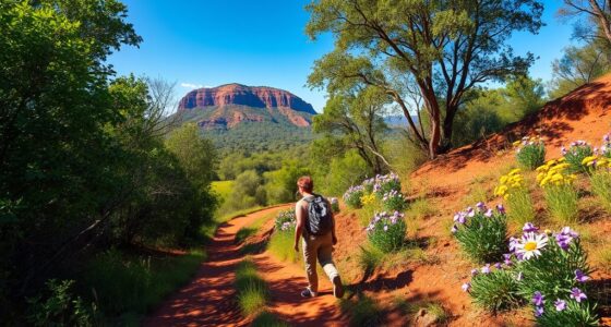 gentle kakadu nature walk
