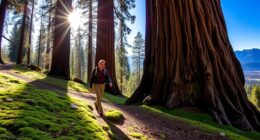 gentle sequoia trails