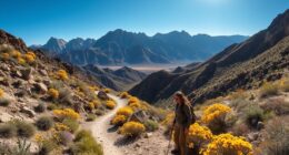 gentle trails in big bend