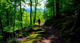 gentle trails in smokies