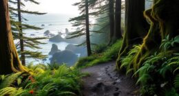 gentle trekking in forest