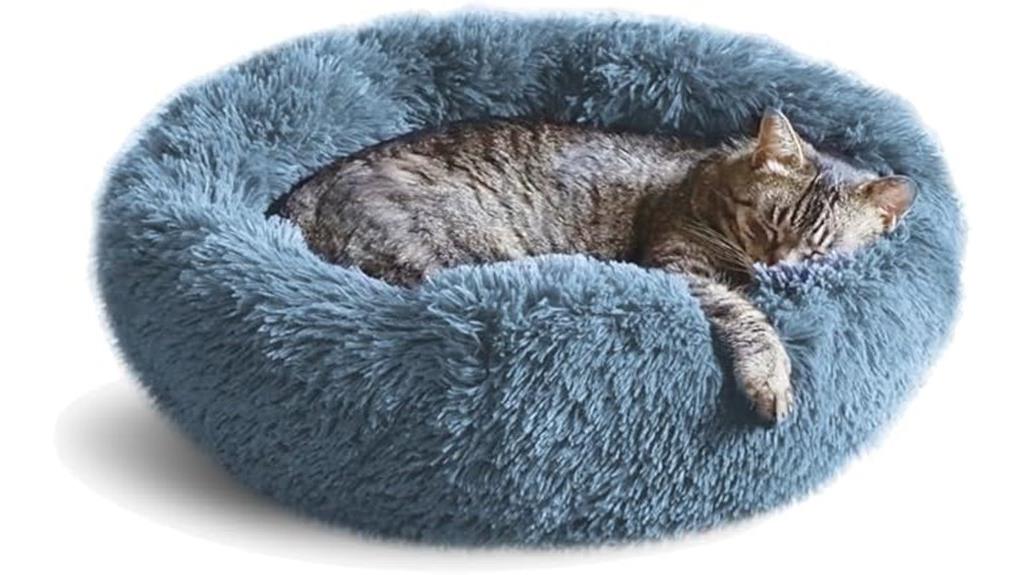 indoor cat cozy bed