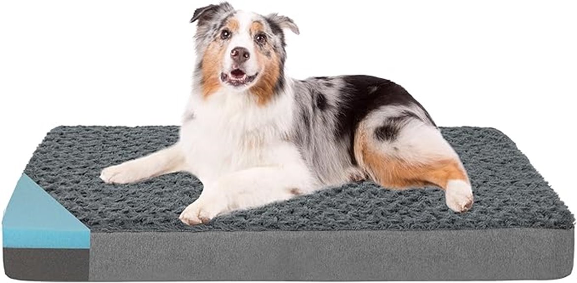 large orthopedic dog bed