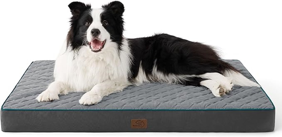 large orthopedic dog bed