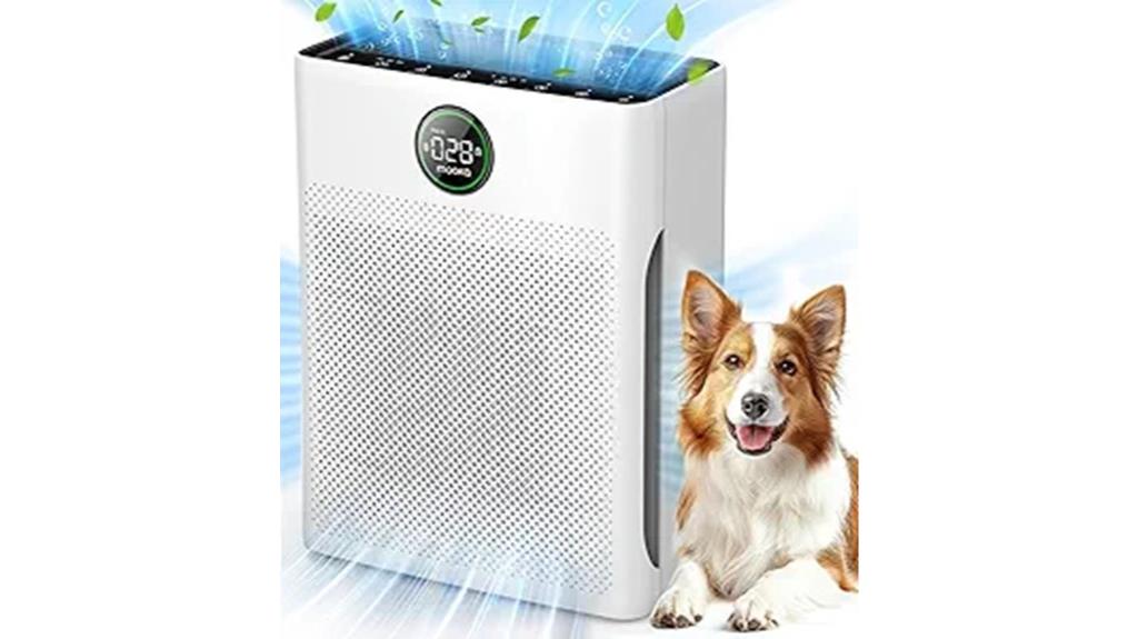 large room air purifier