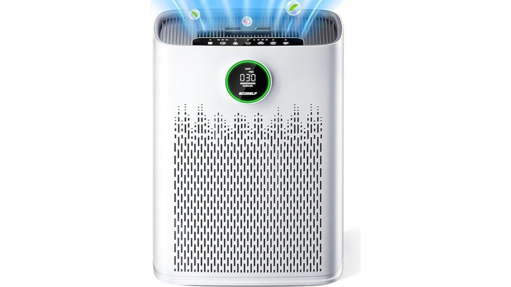large room air purifier