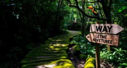 leisurely san ignacio tour