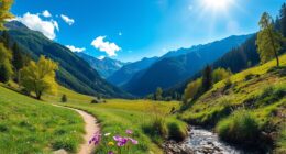 observe interpret respect environment