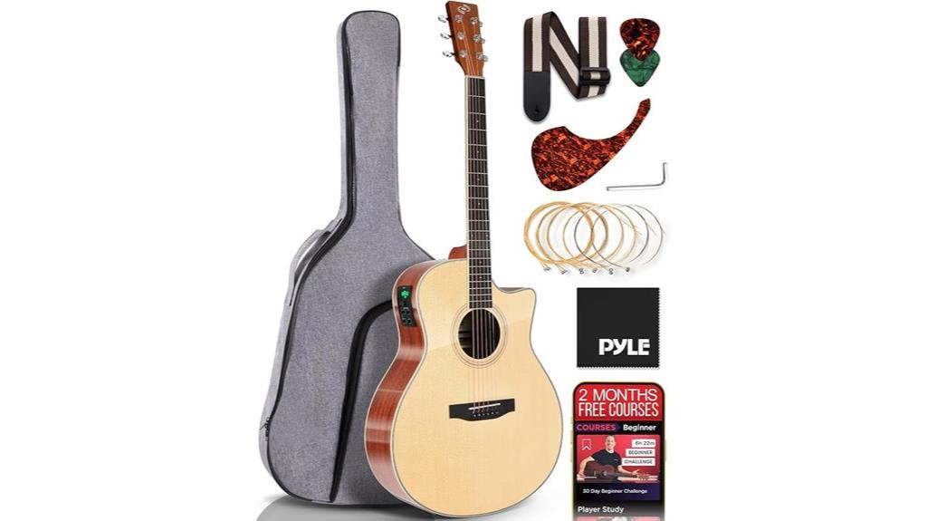 premium electric acoustic guitar