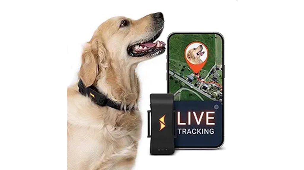 real time dog location