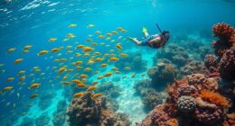 reef safe snorkeling san blas