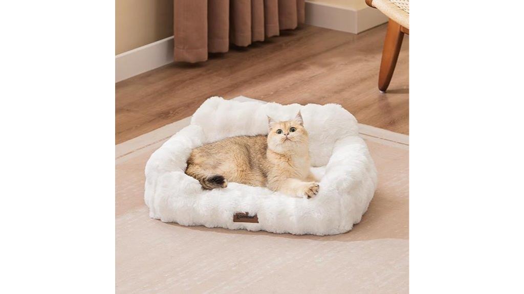 removable cover cat bed