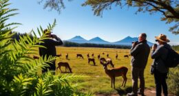 respect nature and animals